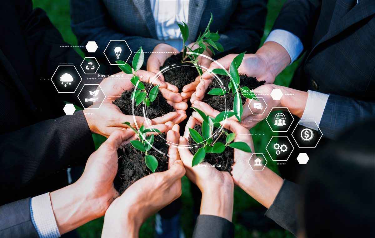 Business partners nurturing a seedling as a symbol of sustainable growth